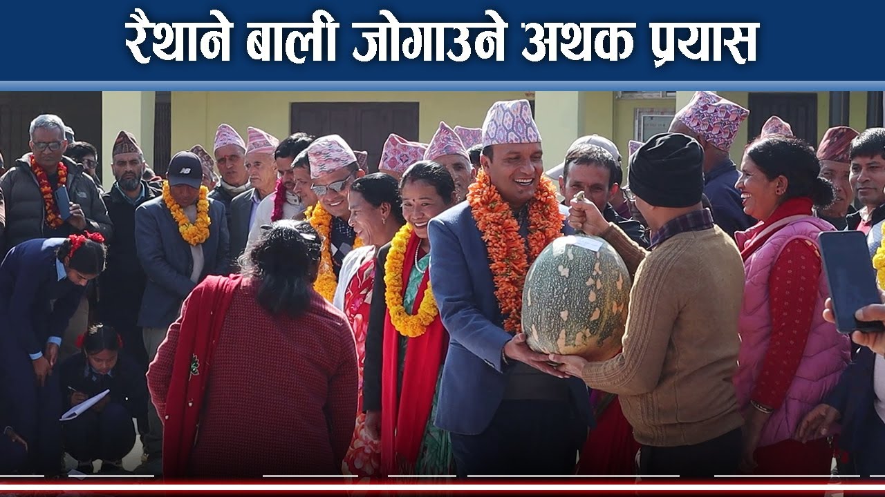 कास्कीमा रैथान बालीप्रति सचेत किसान, विउविजन बचाउने किसान दत्तचित्त - NEWS24 TV