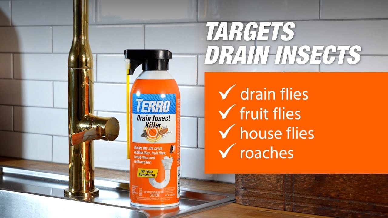 How to Use TERRO Drain Insect Killer