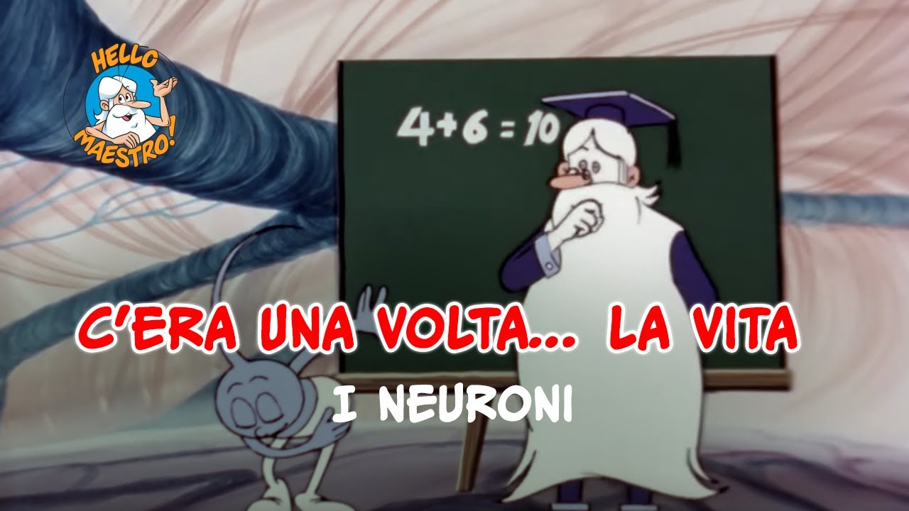 Siamo fatti così... la vita 🌱- Neuroni 💭