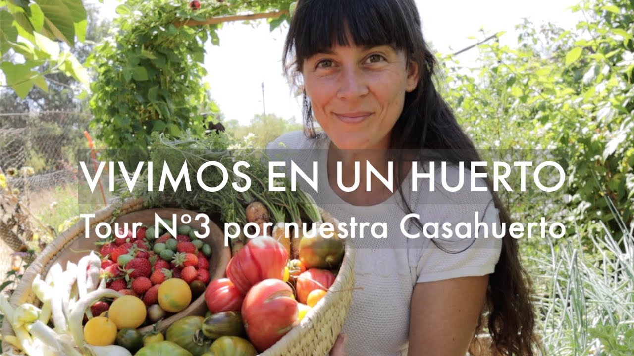 Nuestra casa es un Huerto | Tour Nº3 por nuestra #Casahuerto . Abundancia incluso en la Adversidad