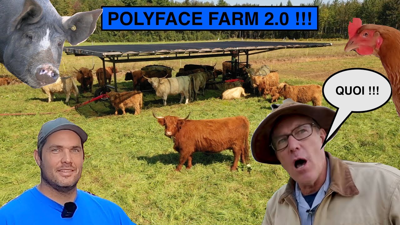 Le Joel Salatin QUÉBÉCOIS !!! | Ferme La