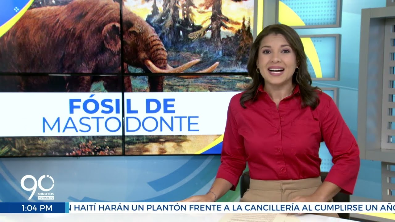 Hallan restos de mastodonte en el río Cauca: tendría más de 10 mil años