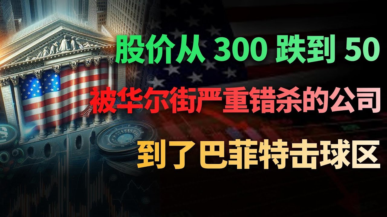 股价从 300 跌到 50，却还在疯狂赚钱？这家绩优龙头，正在被华尔街集体压价，你还不上车吗？#美股 #财经 #美股分析