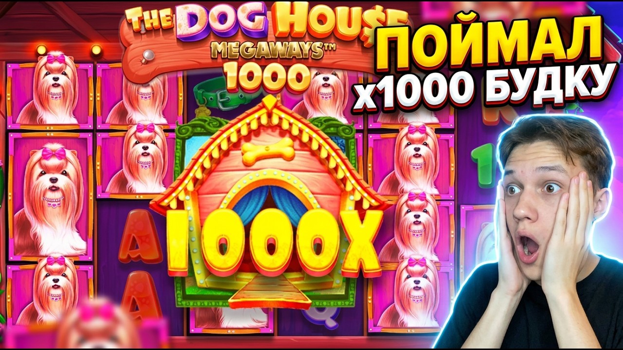 СЛОВИЛ х1000 БУДКУ В НОВЫХ DOG HOUSE MEGAWAYS 1000! ДИКИЕ ЗАНОСЫ!