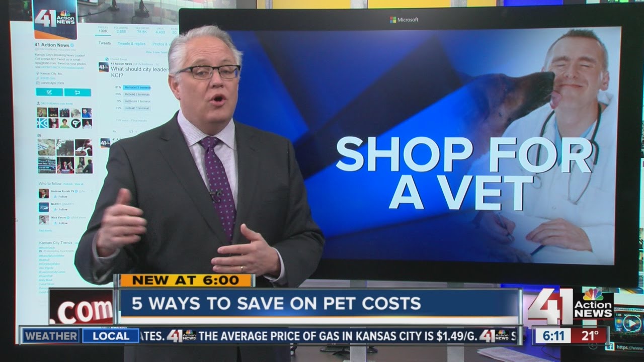 5 ways to save money on pet costs