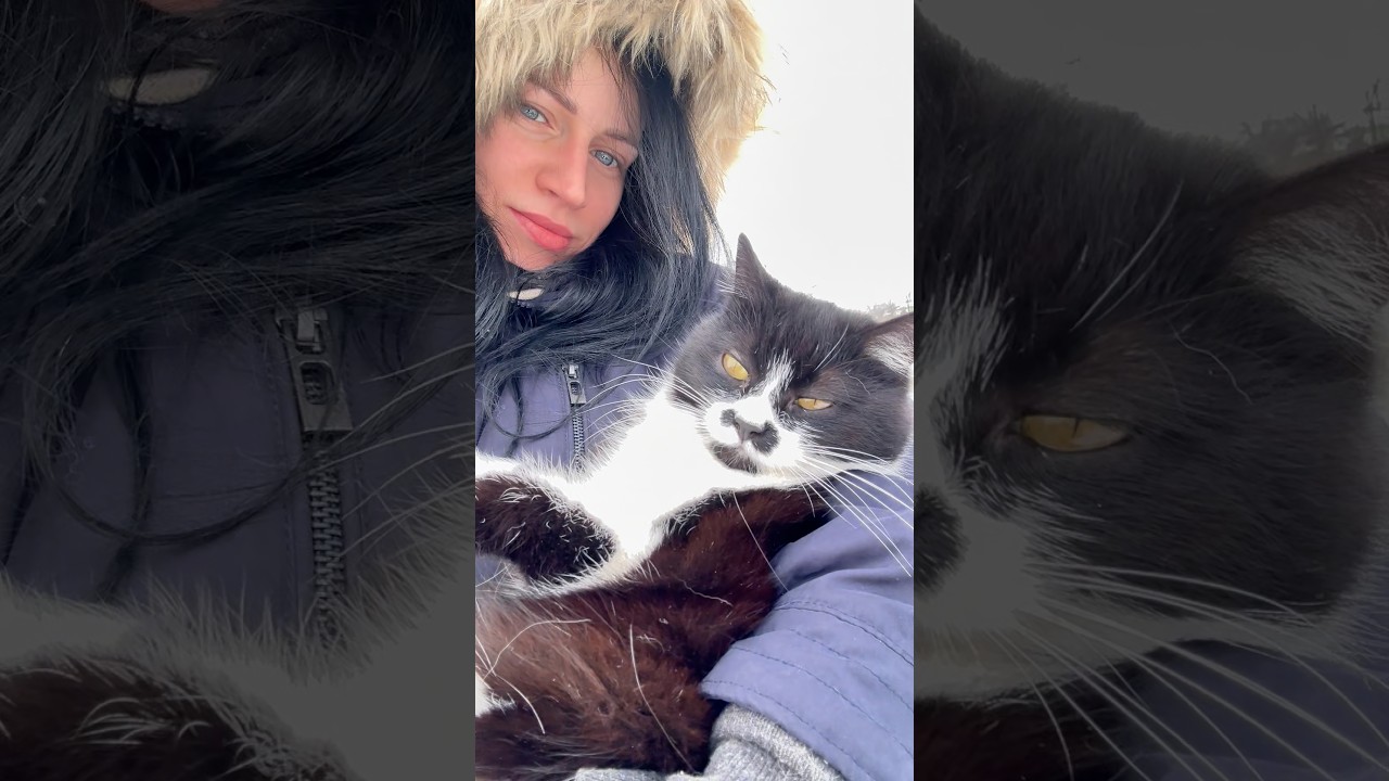 Crazy Cat TV 🐈 Best Moments of my 17 Cats in a Village 🐾 Relax & Rural #catlive #catmoments #rural