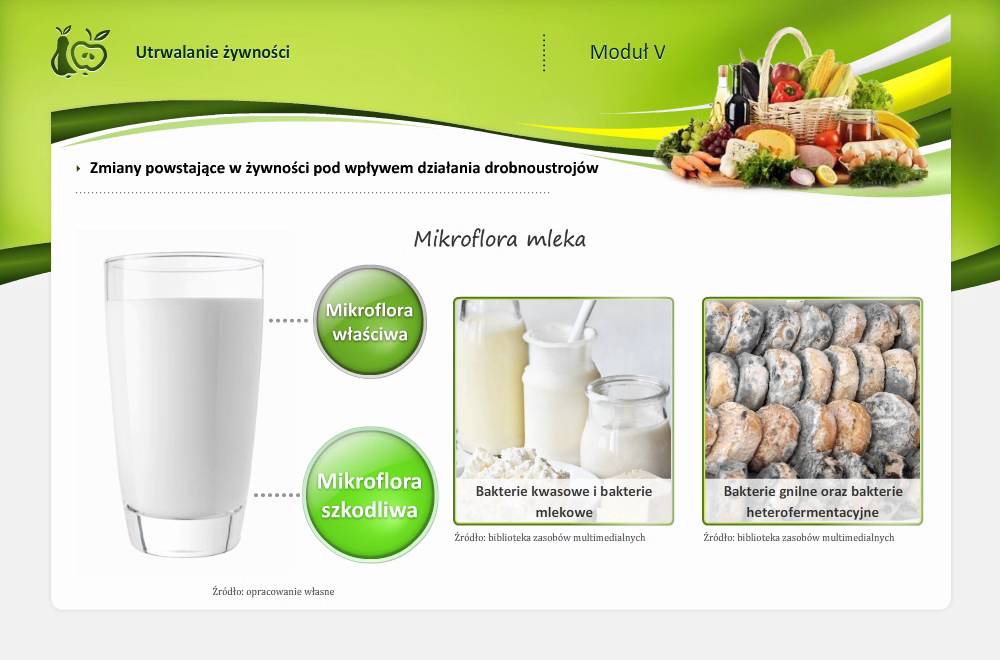 Psucie się żywności - działanie drobnoustrojów