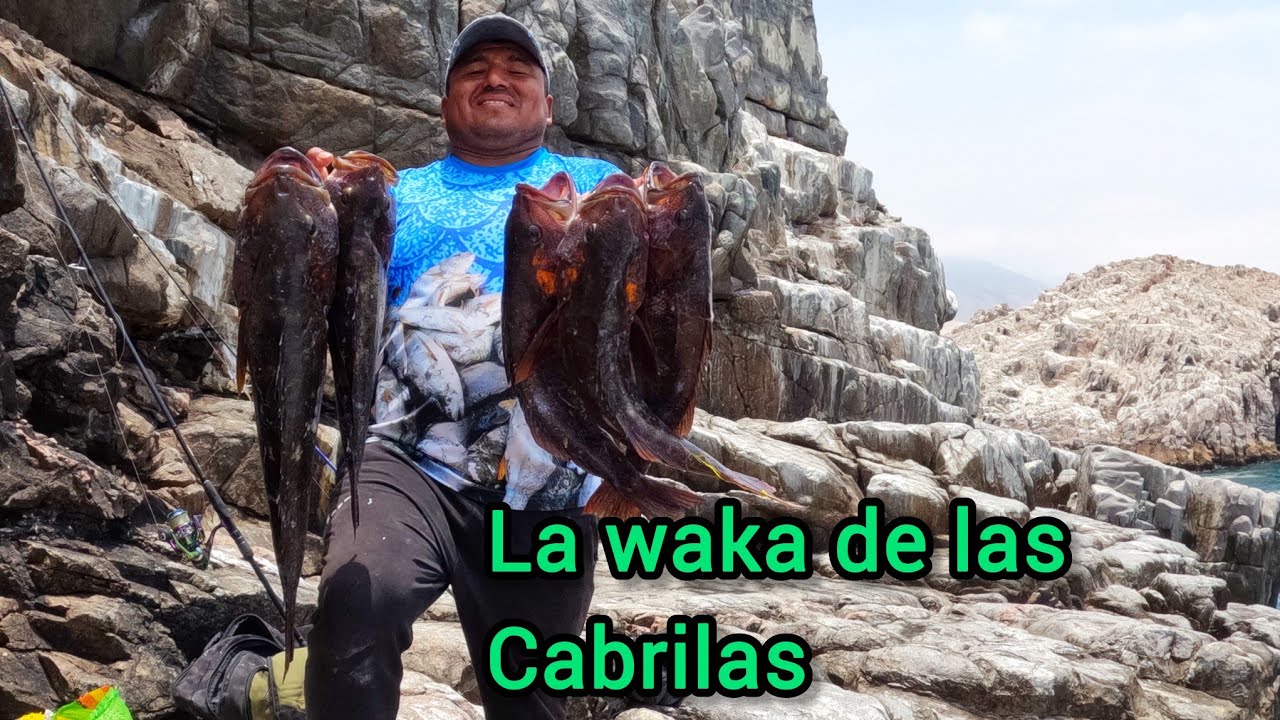 Seguimos con las cabrillas xl