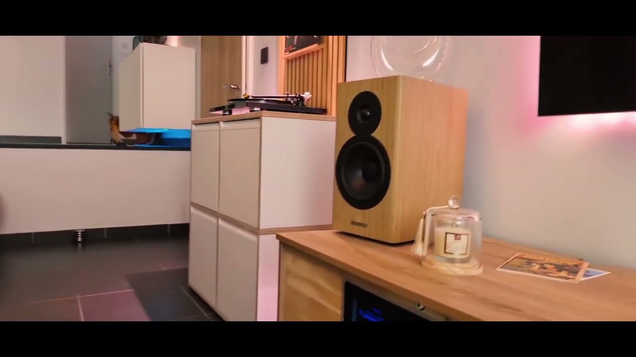 Advance Paris A10 Classic Dynaudio Evoke 20