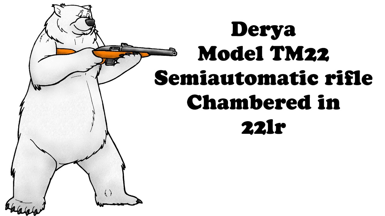 Derya TM22 22lr