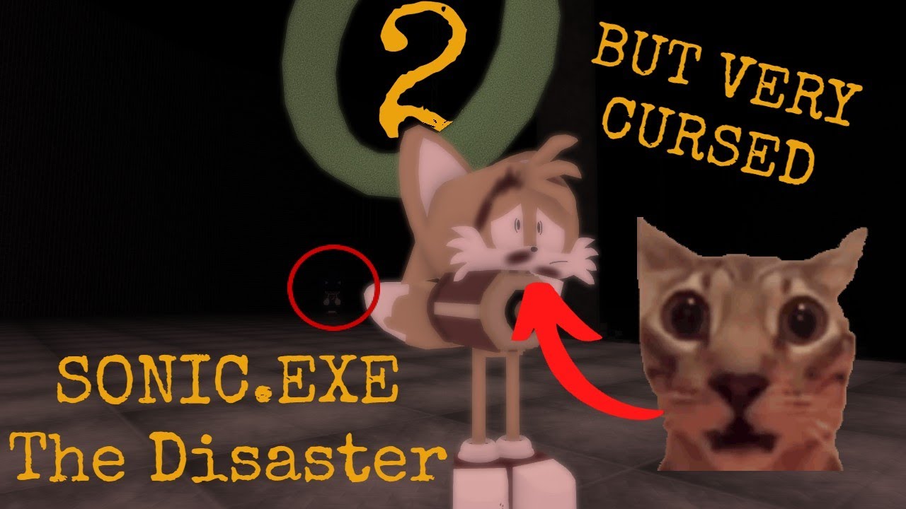Sonic.EXE | The Disastrous Video 2