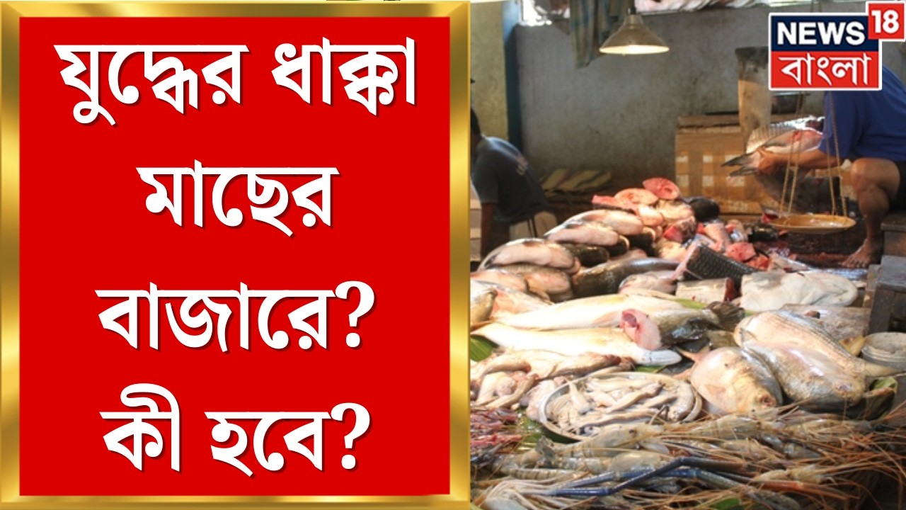 LPG News Today | গ্যাস নেই, সমুদ্রে যেতে পারছেন না মৎস্যজীবীরা! বাড়বে মাছের দাম? | Bangla News