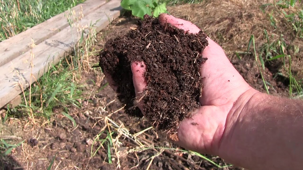 Ein Komposthaufen und eine Weidefläche behandelt mit Plocher Produkten