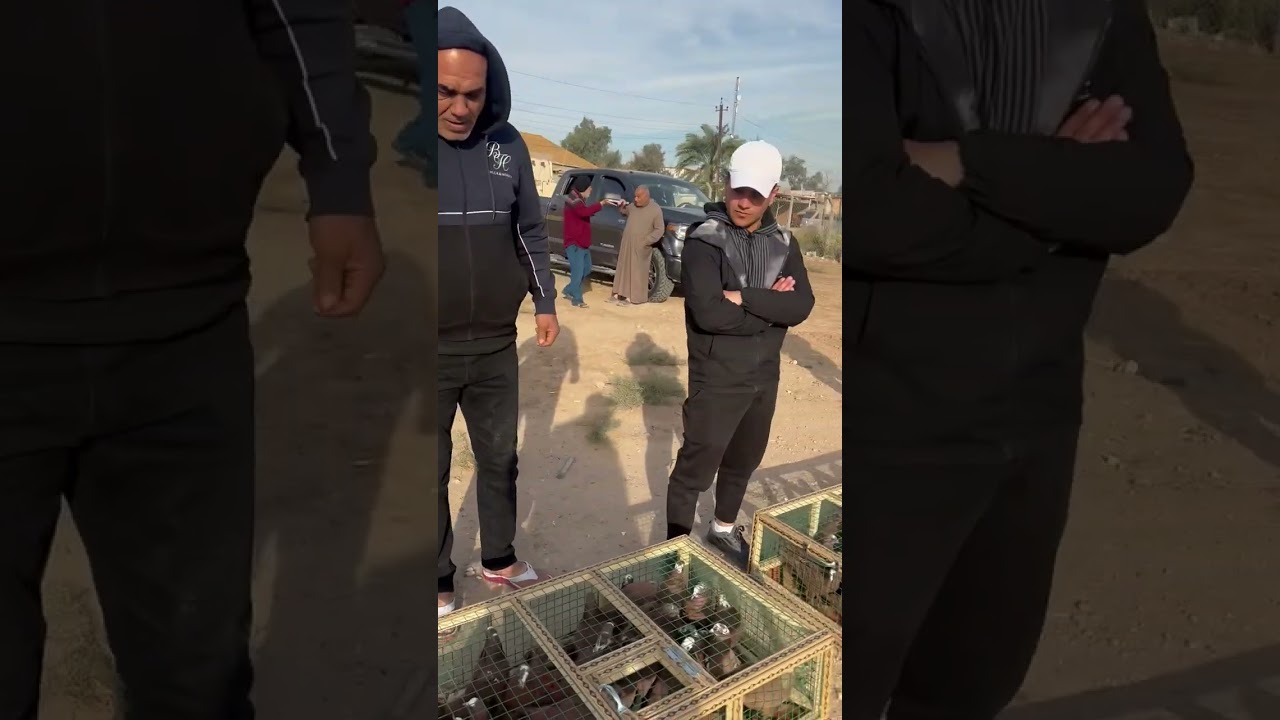 فكة قاسم الشمري من الزعفرانية