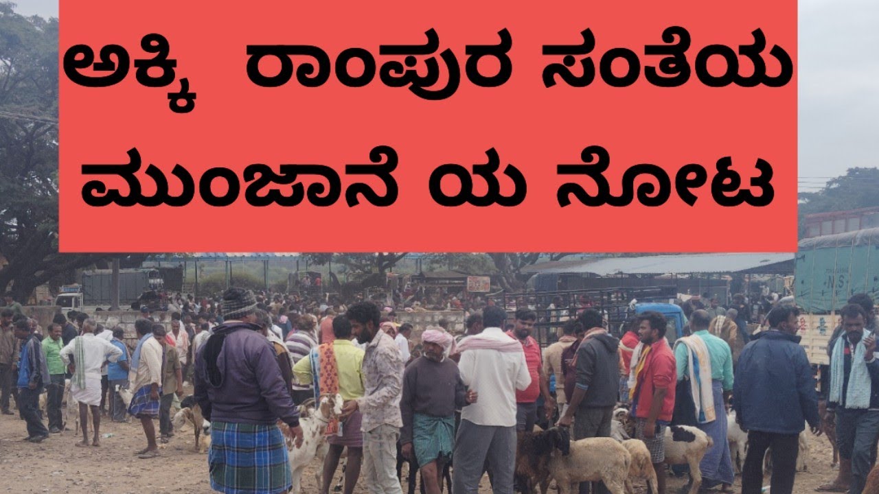 ಸಂತೆ ಅಂದ್ರೆ ಅಕ್ಕಿ ರಾಂಪುರ ಮರಿ ಸಂತೆ @ agrianimals# the biggest market of tumkur district# 10*1*2026