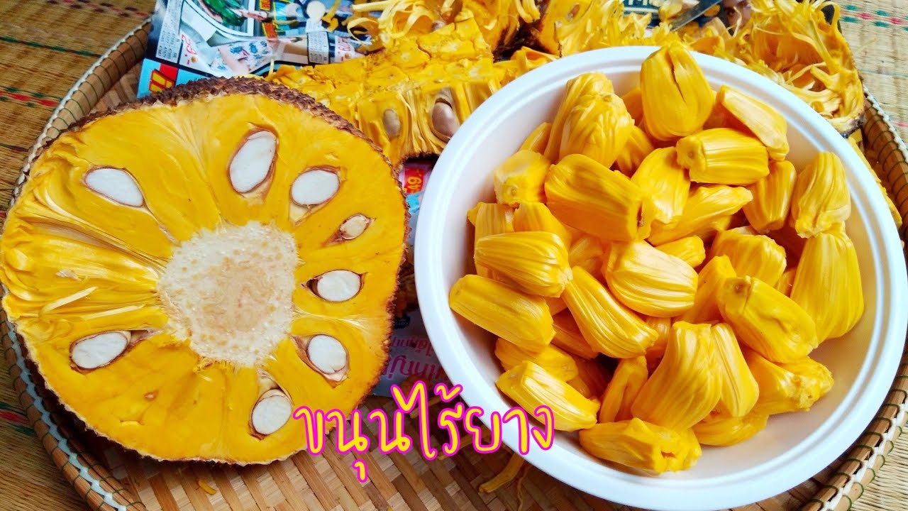 ขนุนพันธุ์อะไร ไม่มียาง. เนื้อดี สีเหลืองทอง กรอบ และหวานมาก /ฐานิตย์ แม่บ้านพอเพียง