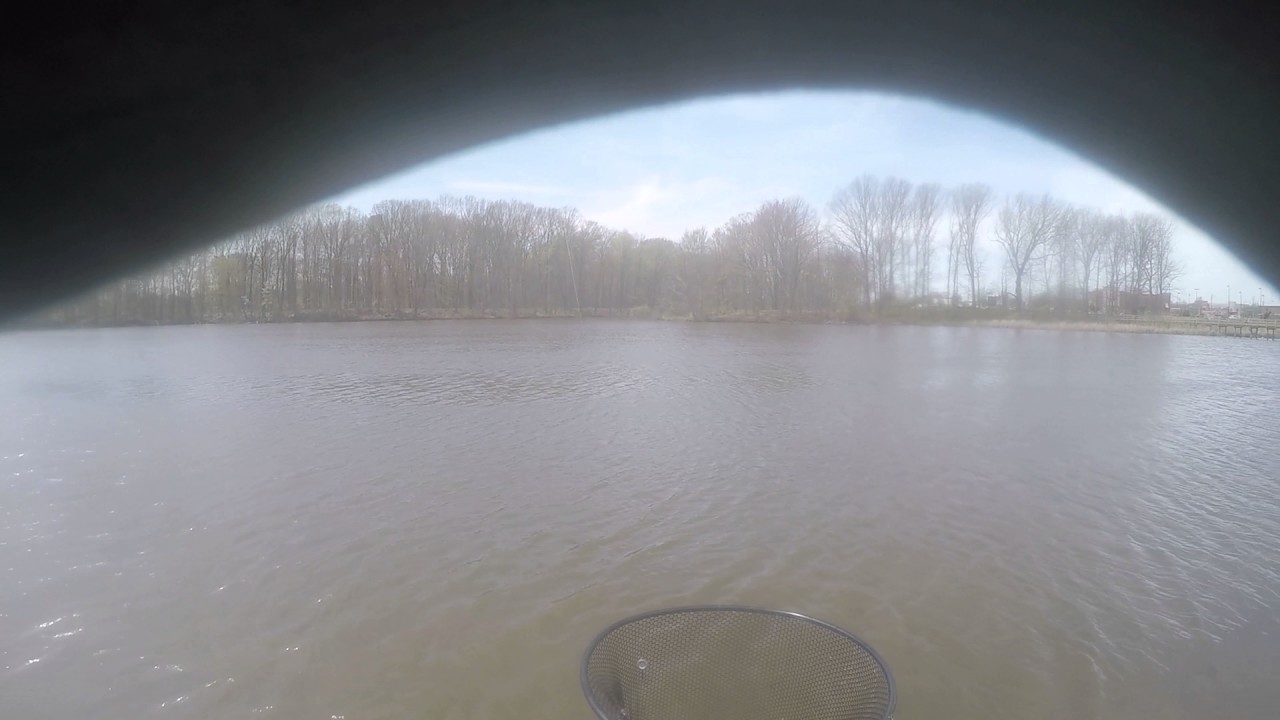 Carp fishing with boilies and sweet corn