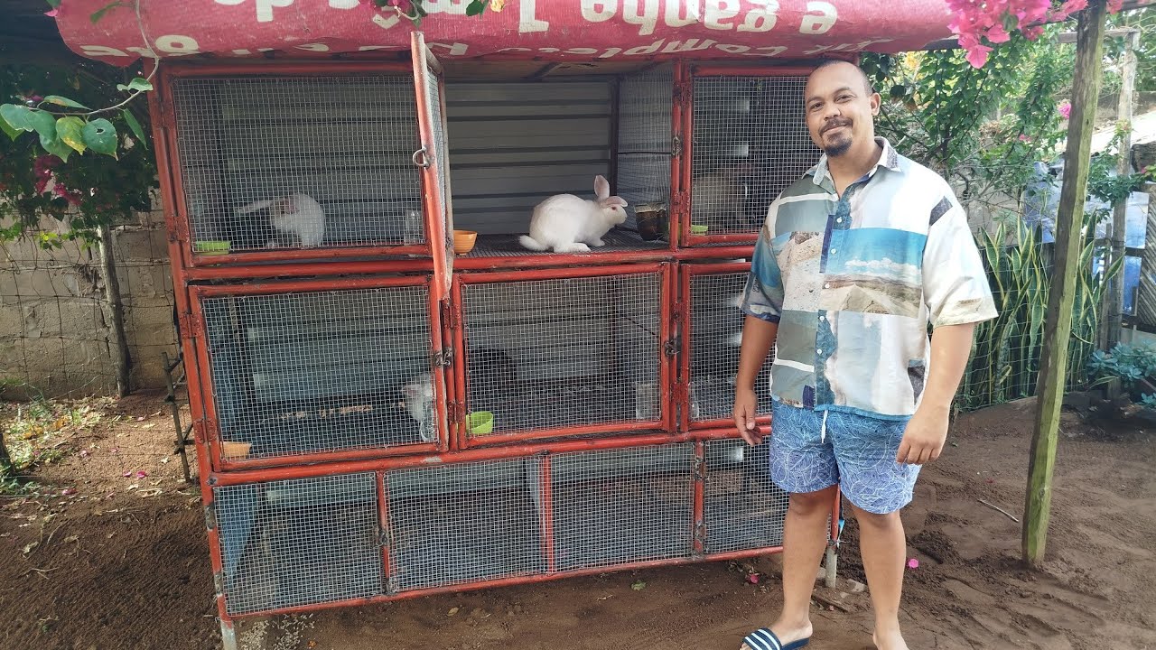 Rabbit Farming New Zealand: Young Mozambican Shows How to Succeed 🐇 🐰