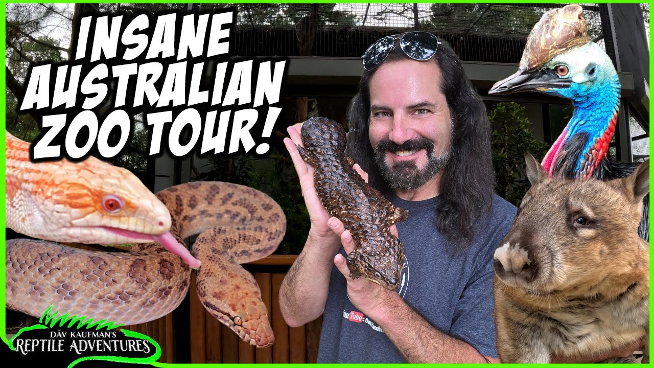 AUSTRALIAN ZOO TOUR! Australian Reptiles, Wombats, Koalas, and more!