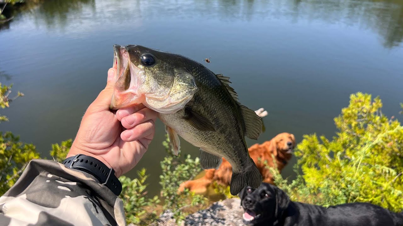 BASS Fishing A Small QUARRY & POND For LARGEMOUTH Bass In OTTAWA