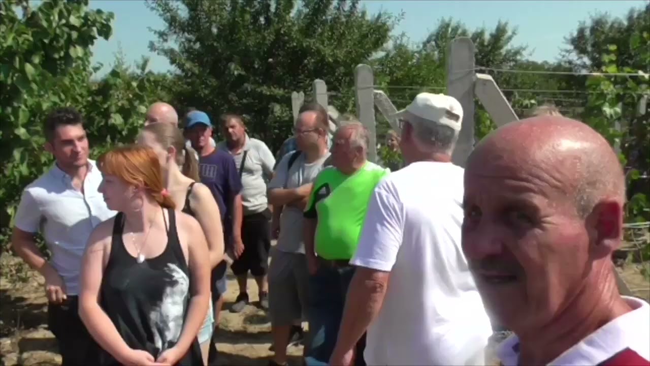 Csemegeszőlő termelők találkozója Géberjénben 2022  08  28
