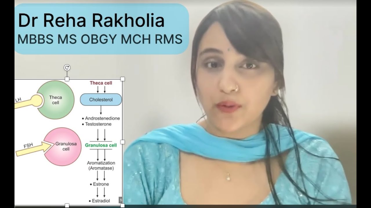 TWO CELL TWO GONADOTROPIN THEORY