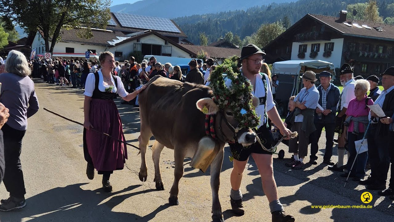 Viehscheid, Thalkirchdorf 2024