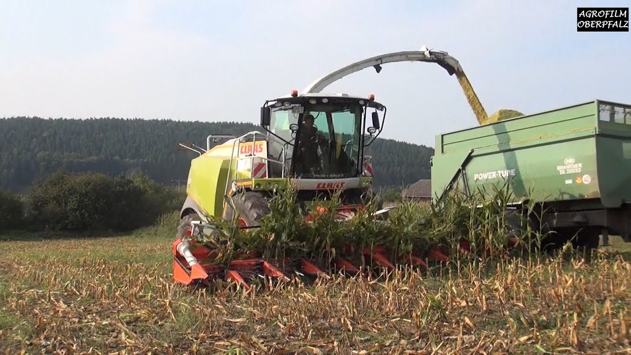 Volle Attacke beim LU Ruhland - Maisernte 2017 mit Claas Jaguar 950 | Kemper-Maisvorsatz 10-reihig