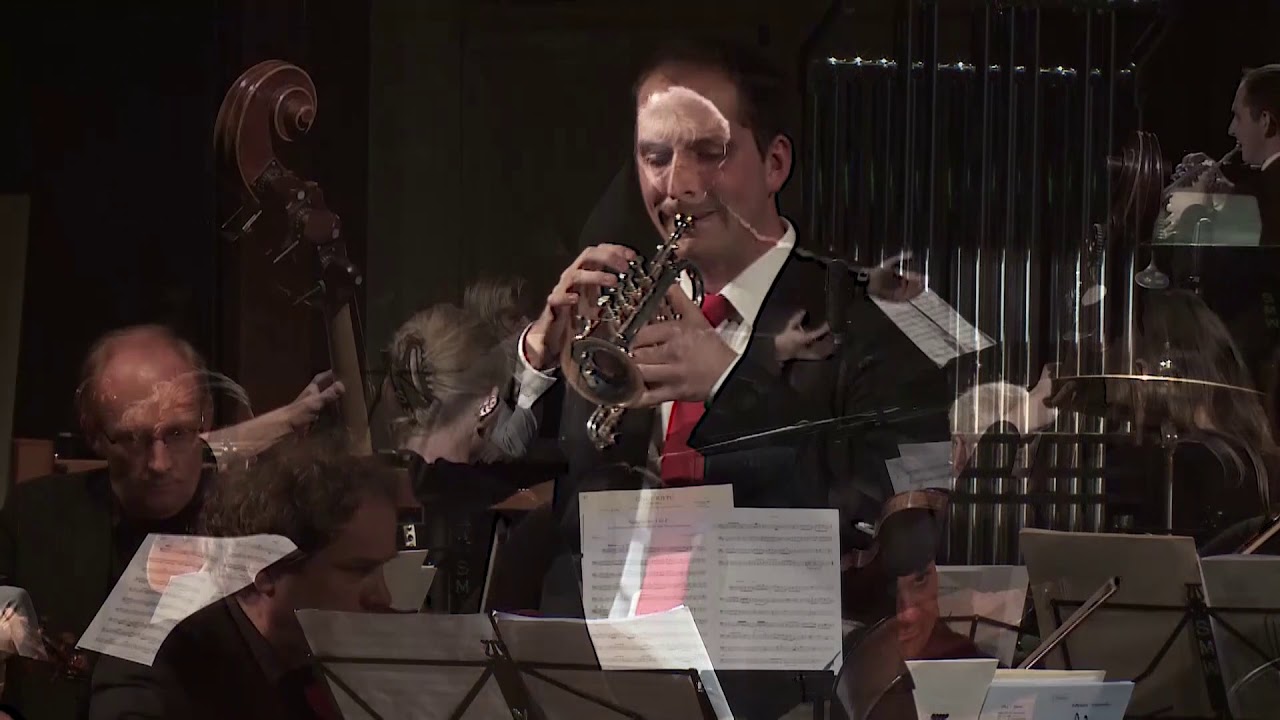 P. Baldassari Sonata No. 1 in F for Trumpet, Strings and Basso Continuo - Patrik Hofer