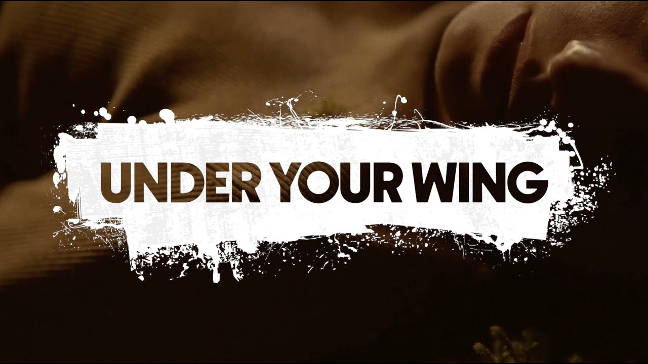 Under Your Wing, by Clive Butler