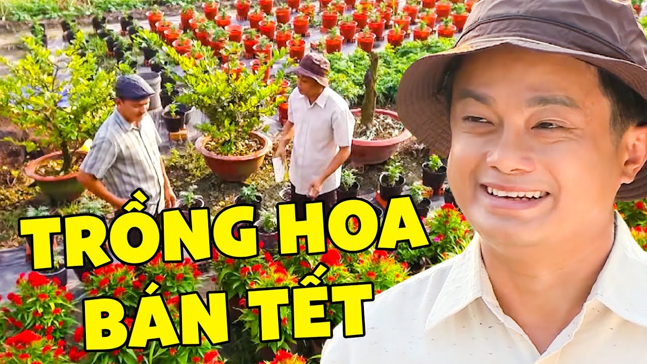 TRỒNG HOA BÁN TẾT - PHIM VIỆT NAM MỚI NHẤT | PHIM HAI LÚA MIỀN TÂY | PHIM VIỆT NAM HAY
