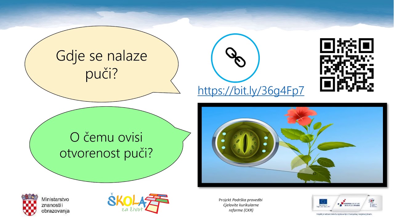 Biologija 8. r OŠ - Reagiranje ostalih živih bića na podražaje