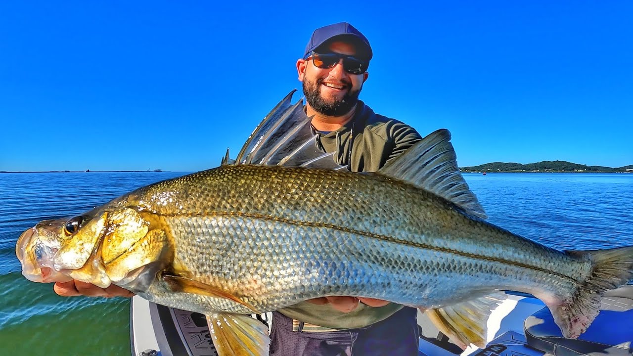 ROBALO PEVA GIGANTE! Fui comemorar os 100 mil inscritos! Pescaria de robalos