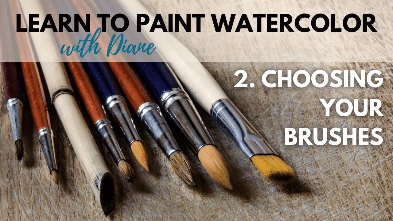 Guide to Watercolor Brushes for Beginners - Which Brushes Do You Need to get started painting