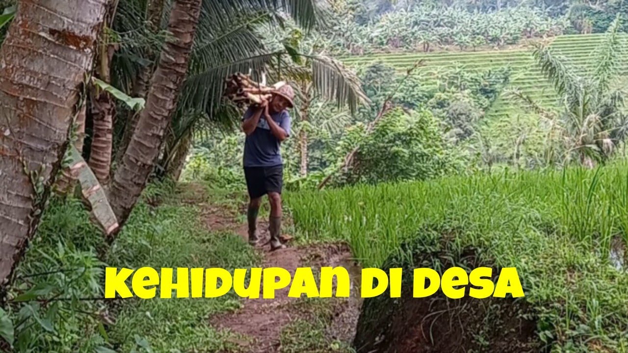 Kehidupan di desa