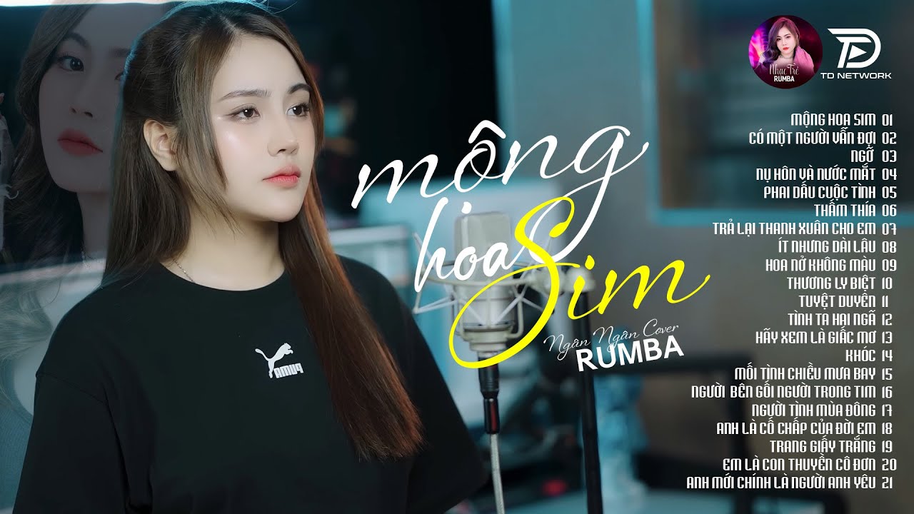 Bao nhiêu năm bôn ba tìm thành công..... - ALBUM RUMBA XUẤT SẮC NHẤT 2025 - NGÂN NGÂN COVER CỰC HÓT