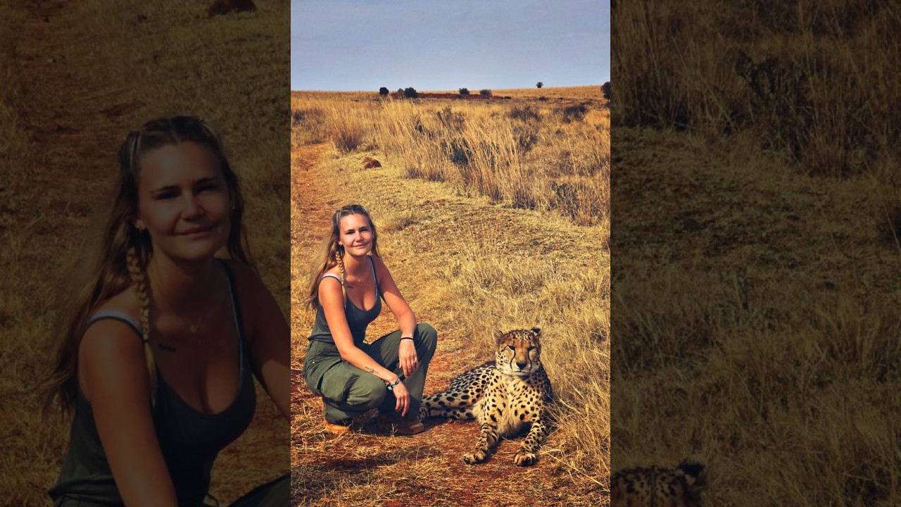 Vivre avec des guépards pendant 2 semaines 🐆 | Le programme Study Wild 🌍🐾
