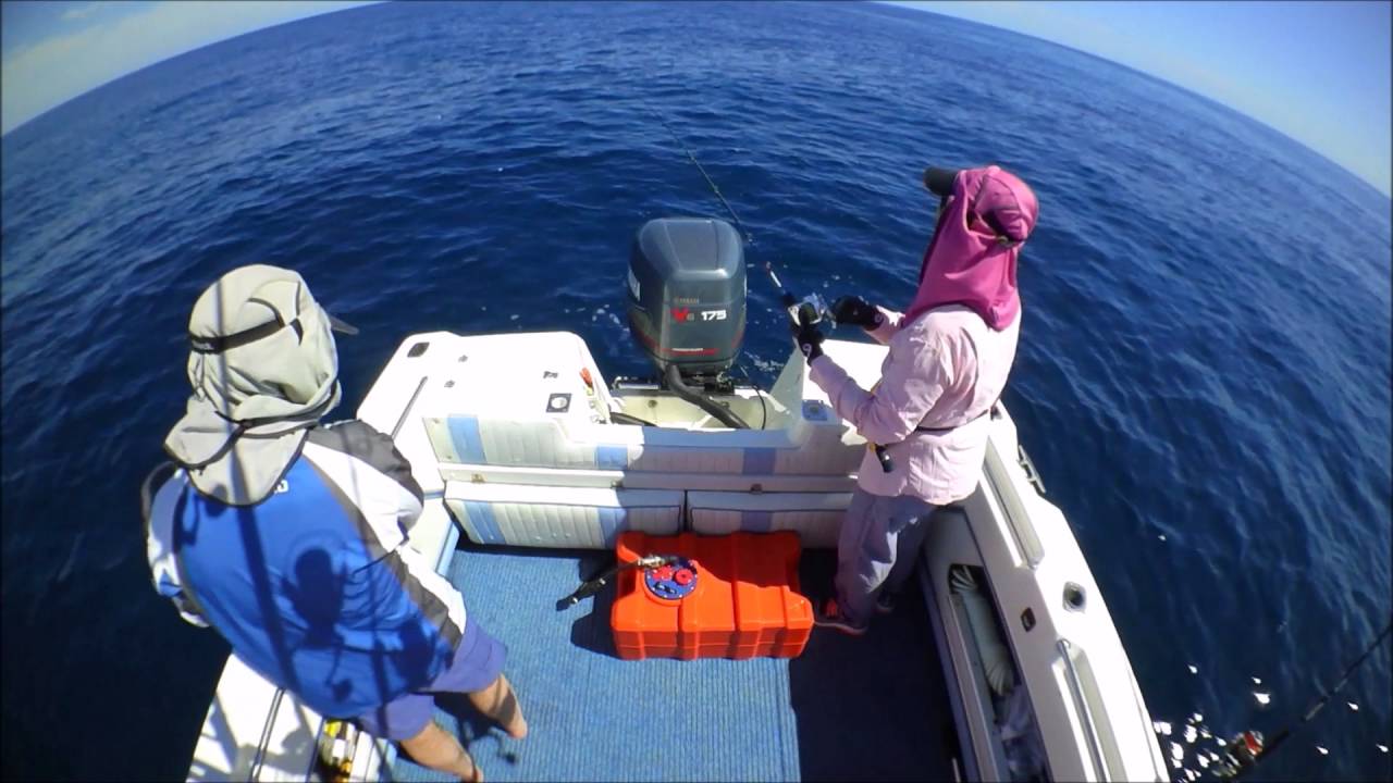 Slow Pitch Jigging and Tuna Chasing at Fraser Island. October 2016