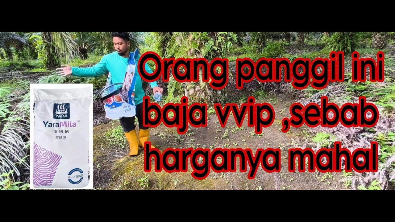 Baja / Pupuk Paling Mahal!!!