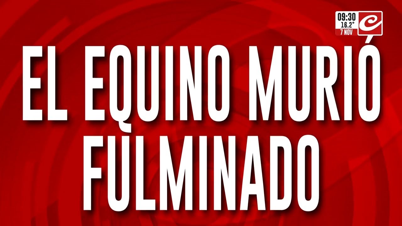 Caballo muere electrocutado tras pisar cable de conexi&oacute;n clandestina
