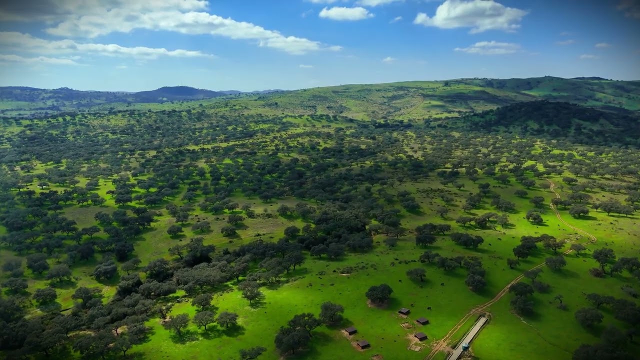 No soy de aquí ni soy de allá - La primavera en Marzo 2026 en Andalucia
