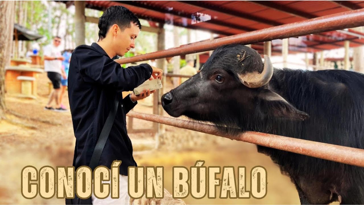 MUNDO ECUESTRE un lugar con ANIMALES muy INTERESANTES (VLOG)