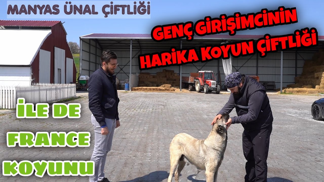 GENÇ GİRİŞİMCİNİN HAYVANCILIK BAŞARISI | ÜNAL ÇİFTLİĞİNDE ÇOK KEYİFLİ SOHBET