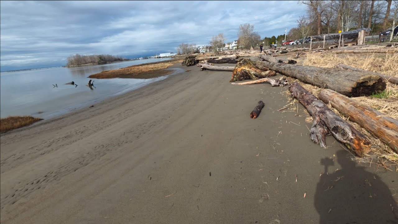 Beach Combing looking for magic wood to carve.