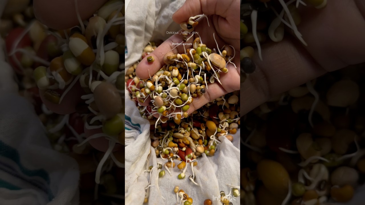 How to make mixed sprouts at home 