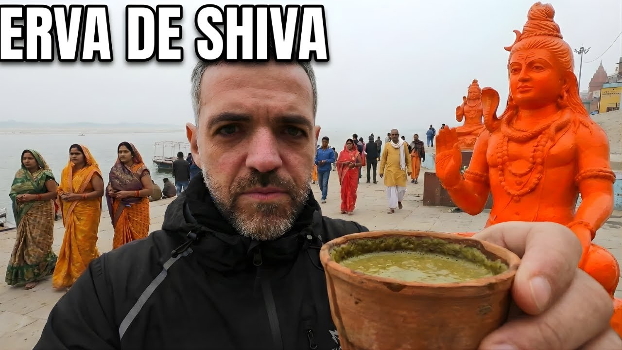 PROVEI A 