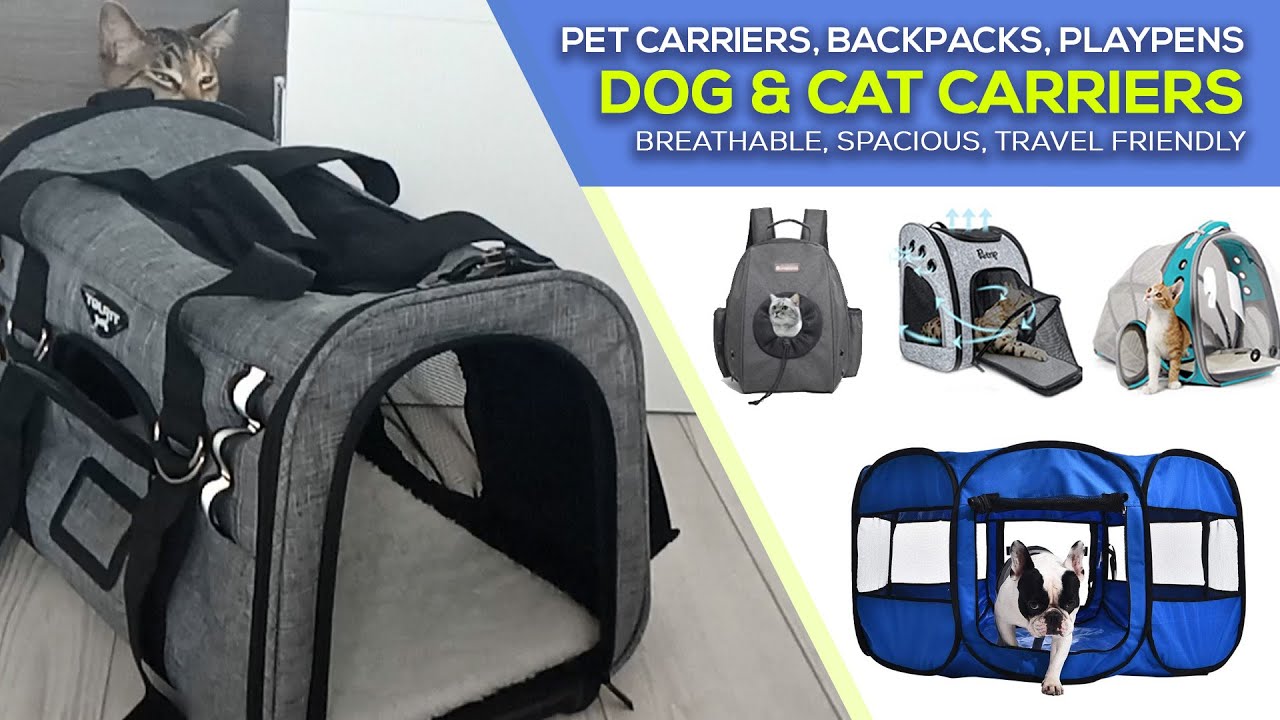 Best Cat Carrier Bags for Travel - Cat Backpack Carrier Reviews