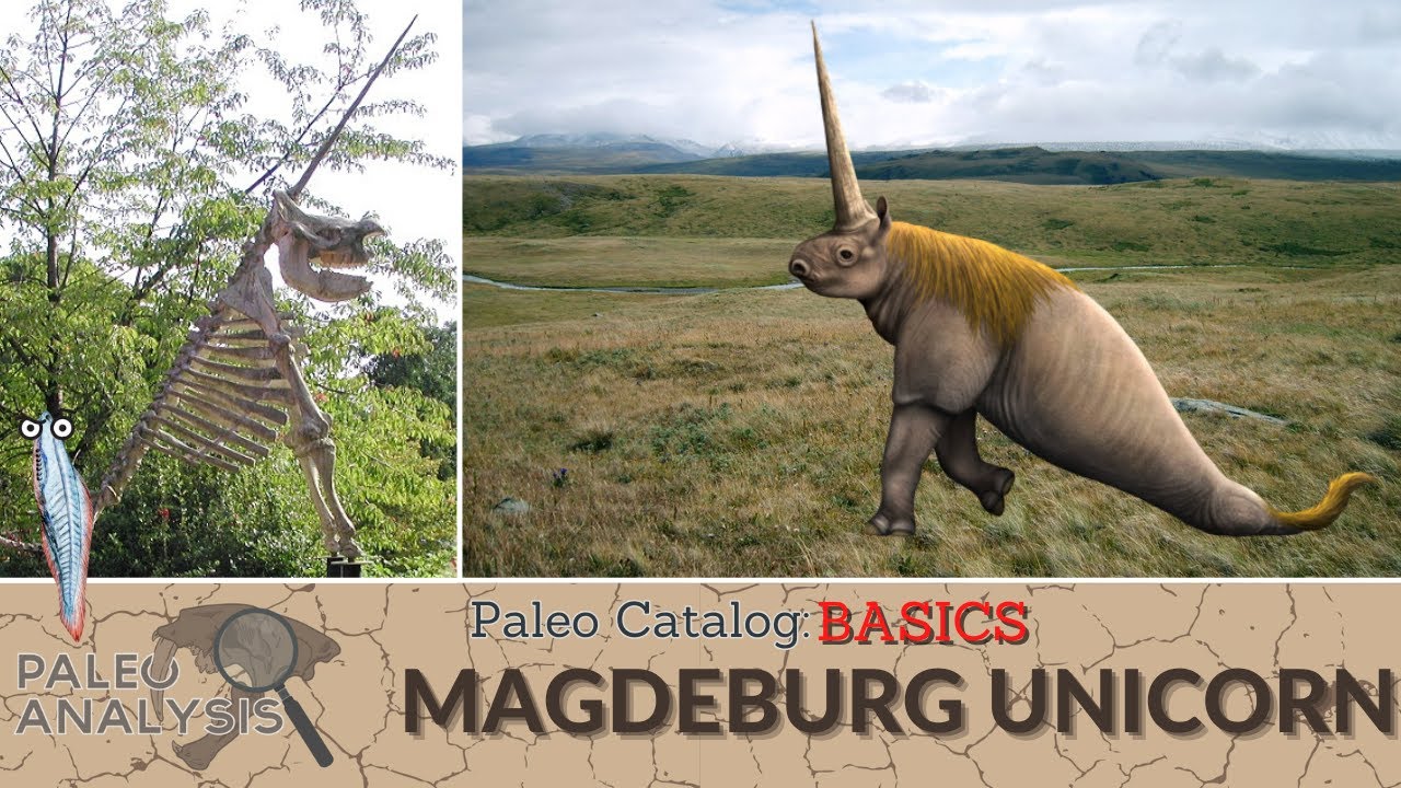 Paleo Catalog Basics: Magdeburg Unicorn