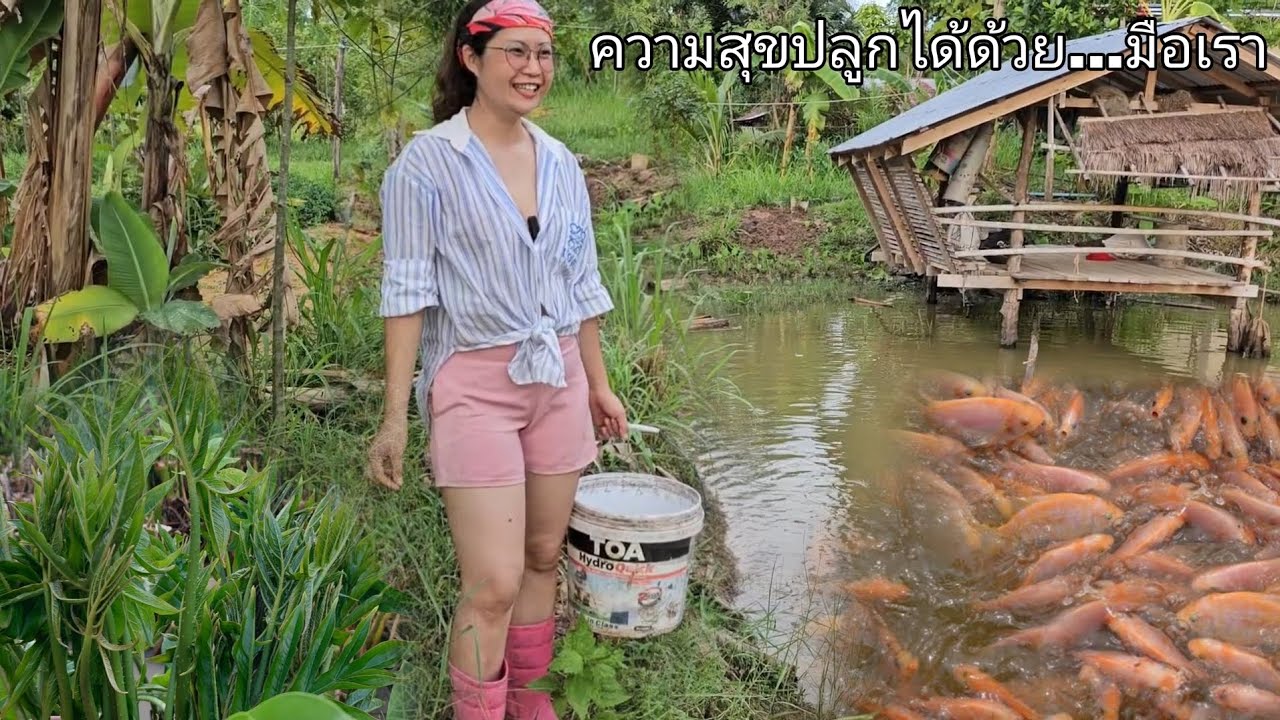 เลี้ยงปลานิลปลาทับทิมในบ่อดิน พามาดูบ่อปลาที่สวนของเรากัน