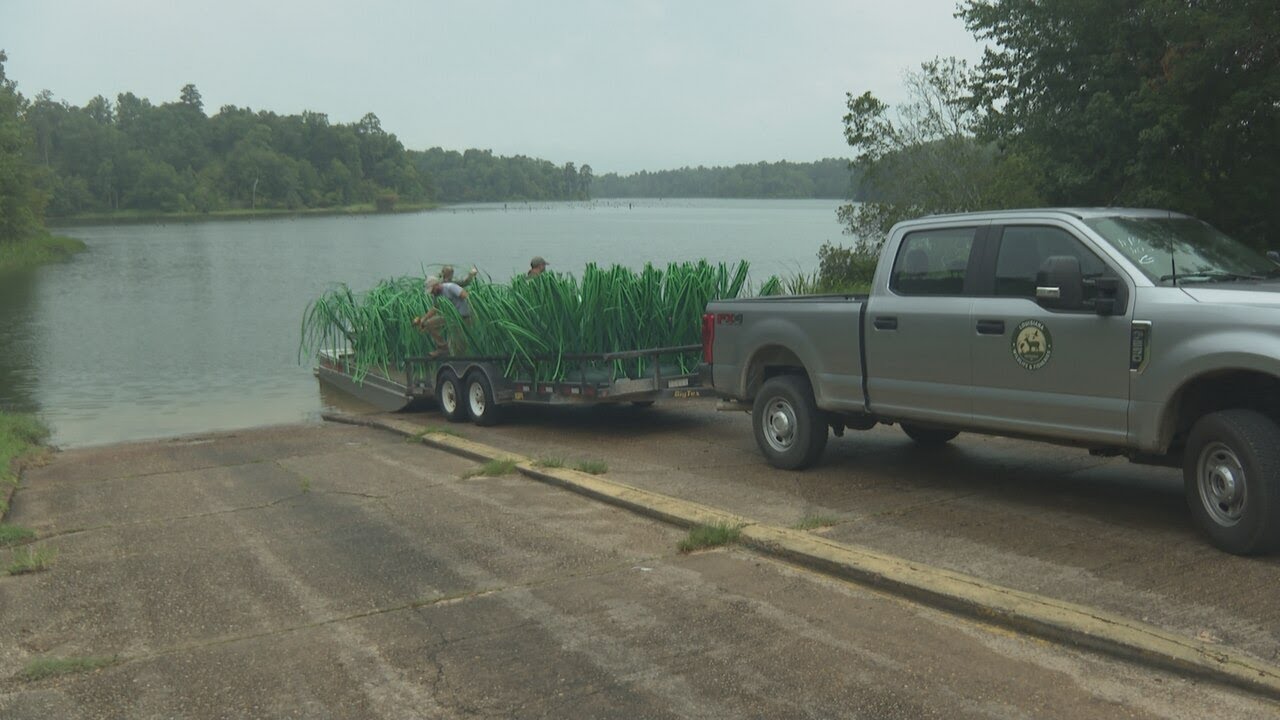 Louisiana Department of Wildlife and Fisheries is revolutionizing your fishing experience
